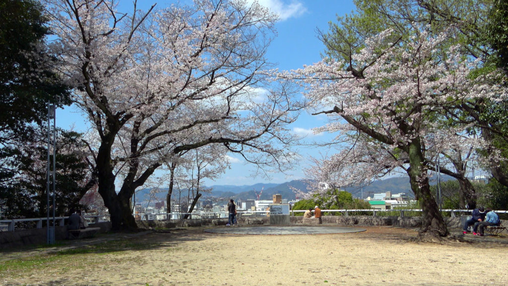 Sakura auf dem Hijiyama