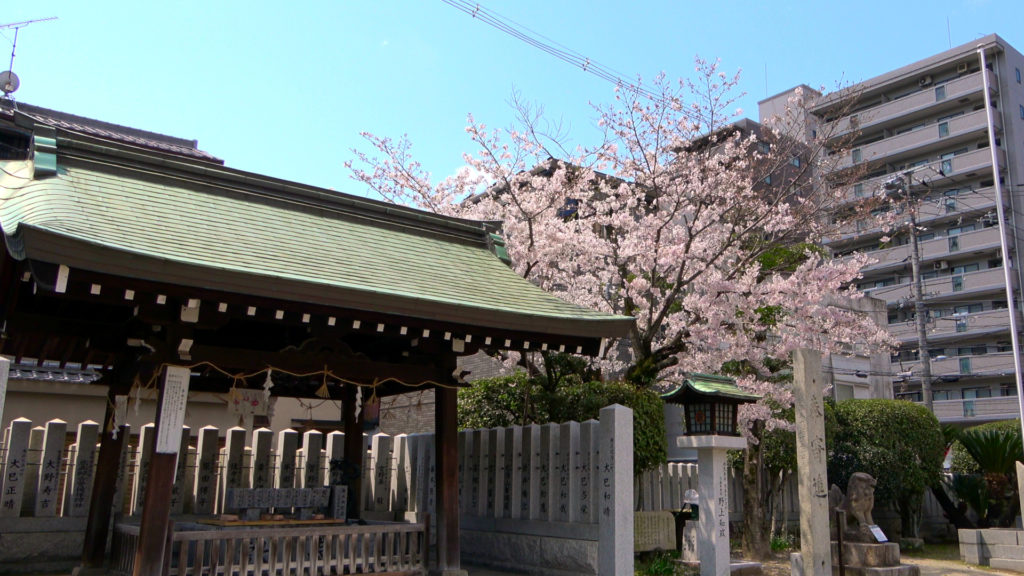Japans Tempel werden von der Kirschblüte dominiert.
