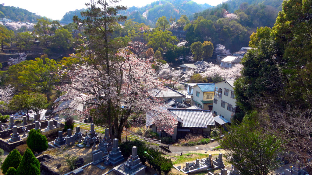 In Japan ist es üblich Verstorbene zu kremieren und in Familengräbern zu beerdigen.