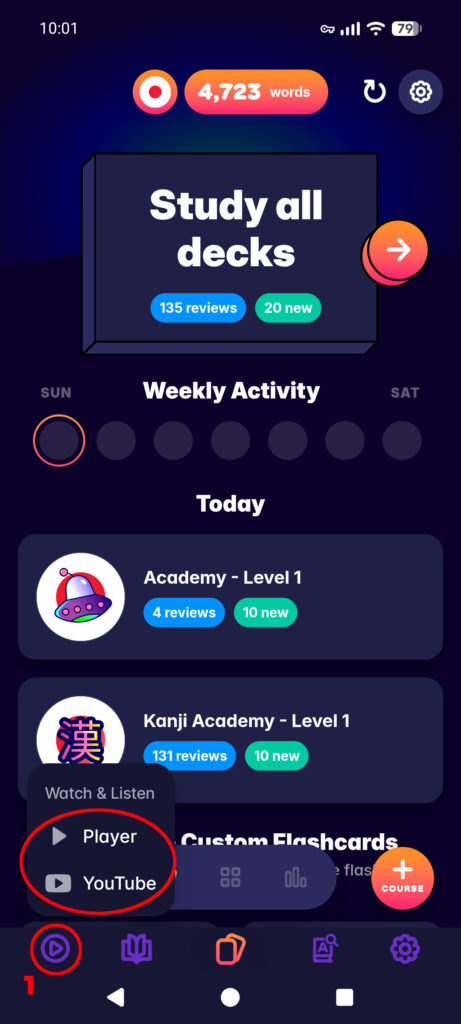 Youtube mit Migaku auf dem Smartphone - Schritt 1