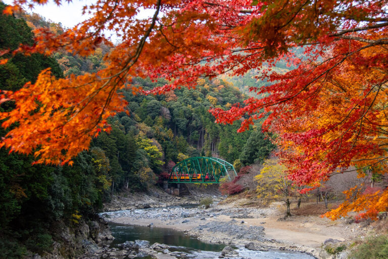 Der Sagano Romantic Train auf einer Brücke. (Quelle: 嵯峨野観光鉄道株式会社 / Sagano Romantic Train)