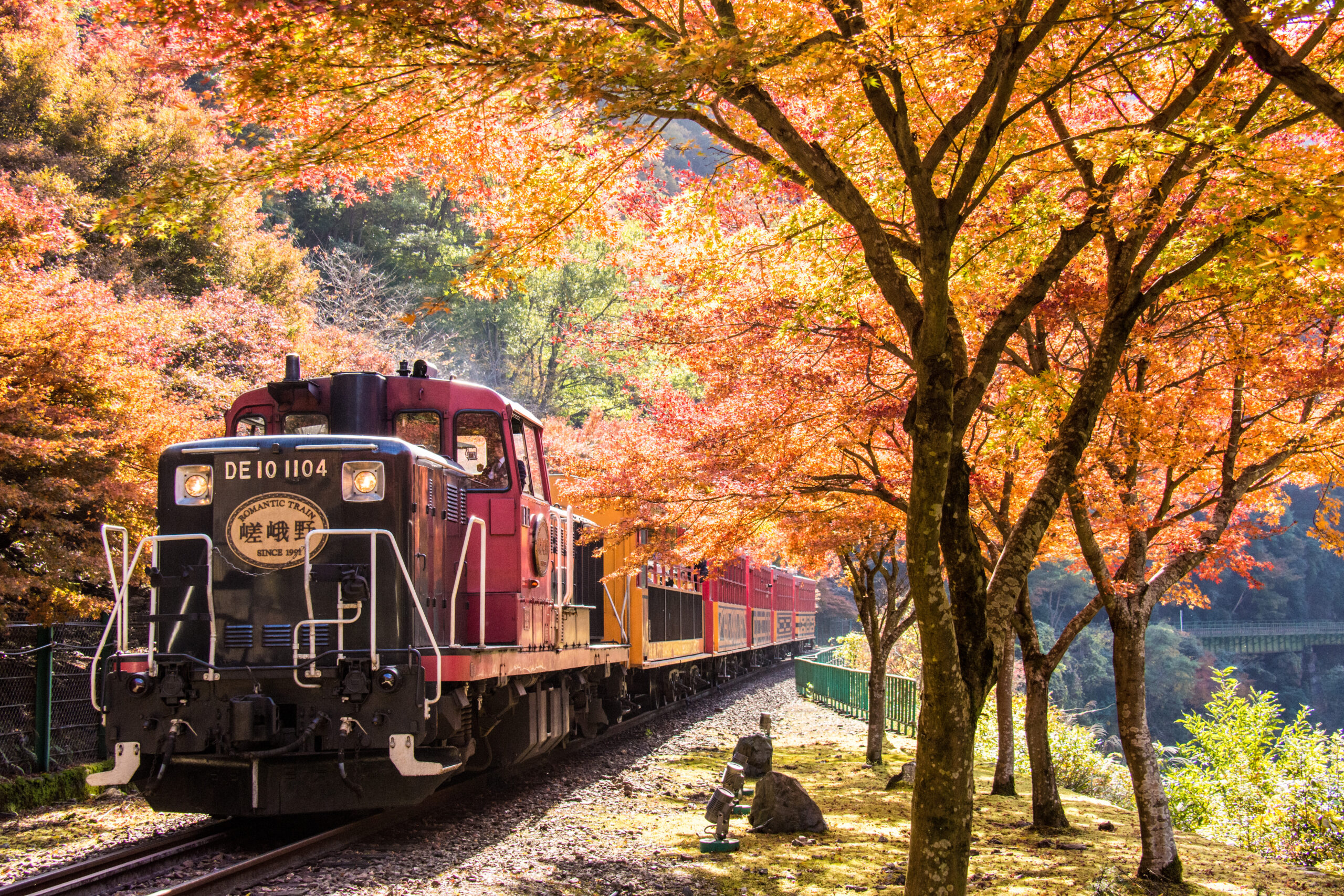 Fahrt des Sagano Romantic Train durch das Herbstlaub Japans (Quelle: 嵯峨野観光鉄道株式会社 / Sagano Romantic Train)