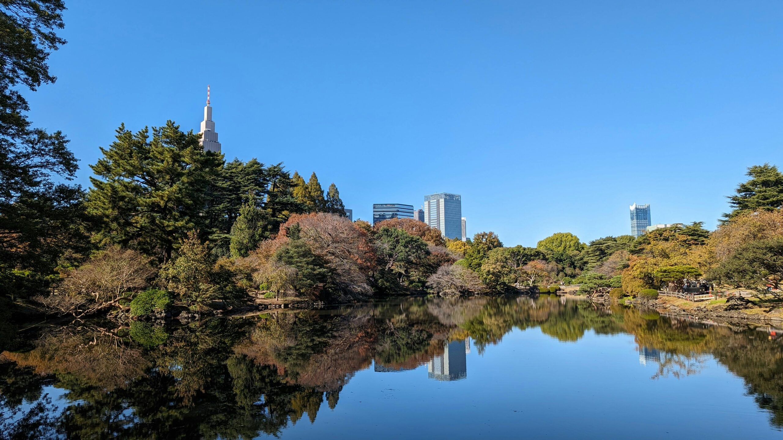 Teich im Shinjuku Gyoen (Quelle: Pexels)