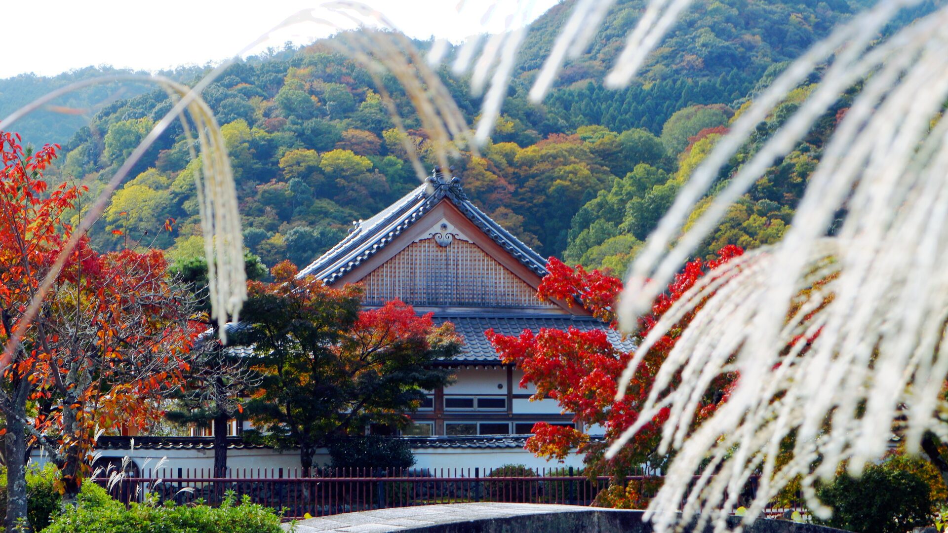 Herbstbild des Tenryu Tempels in Kyoto (Quelle: Photo-AC)